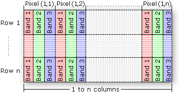 _images/bip.gif